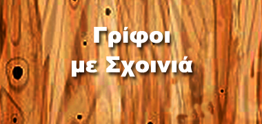 Γρίφοι με Σχοινιά